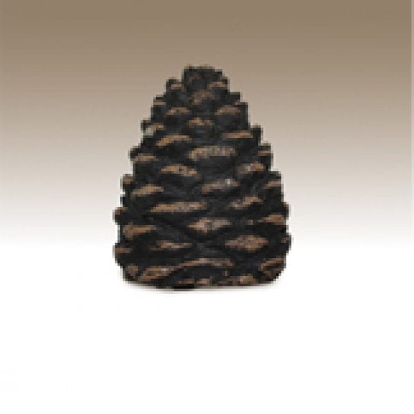 Pine Cone Valve Cover Kit