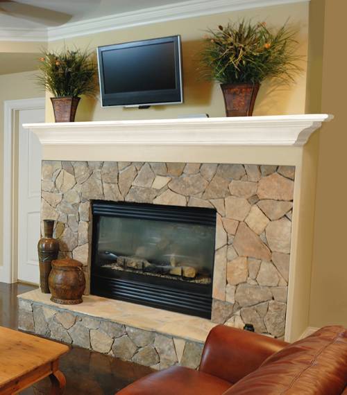 fireplace insert with mantel